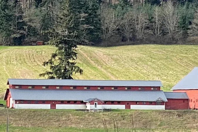 Camano Island