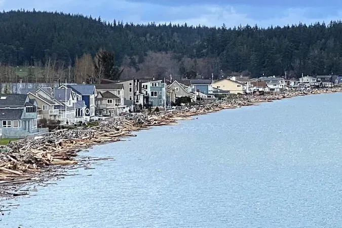 Island County