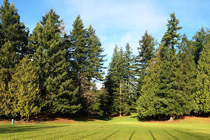 Lynnwood